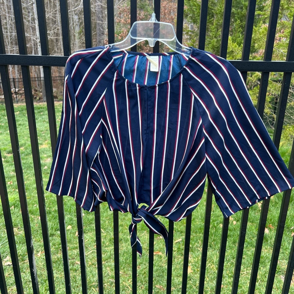JAPNA Blue and White Stripe Crop 3/4 Sleeve Top Women’s Medium